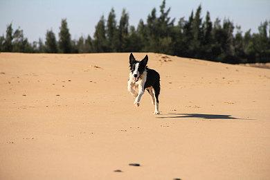 《生化危机》初代虚幻引擎5重制项目预告视频欣赏
